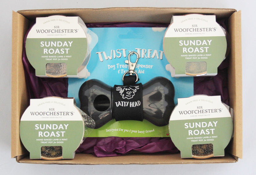 Tatty Head Dog Treat Dispenser Gift Box 6 Colours Pet Gift Set Includes Dog  Biscuits A Perfect Holder for Walks & Puppy Owners 
