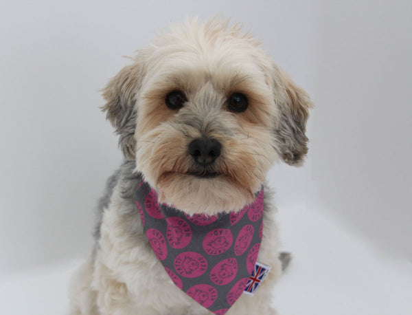 Pink bandana dog clearance collar